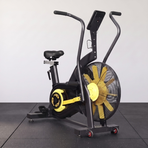 ADVG Sprint Air Bike in a home gym