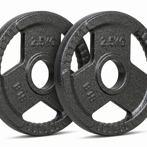 ADVG Cast Iron Olympic Tri Grip Weights, pair of 2 x 2.5kg, two plates at a 3/4 angle on white
