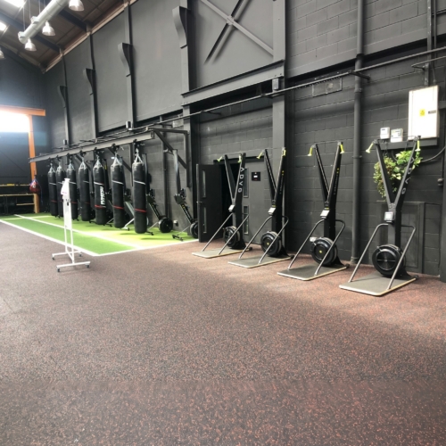 ADVG SkiErg and Stand PowerMax 1.0, two in a row of ski machines in a gym